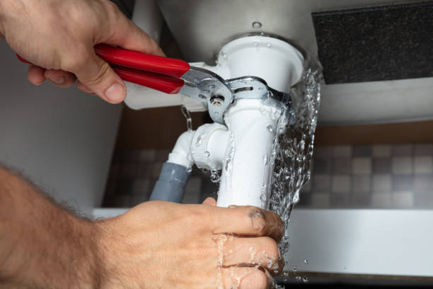 Best Fire Damage Restoration  in Rosharon, TX