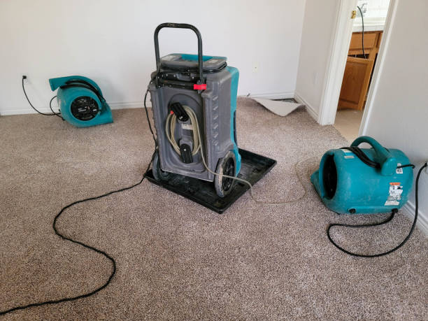 Best Basement water damage restoration  in Rosharon, TX