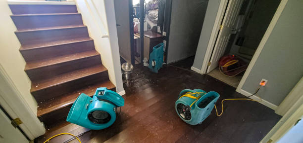Best Emergency water extraction  in Rosharon, TX