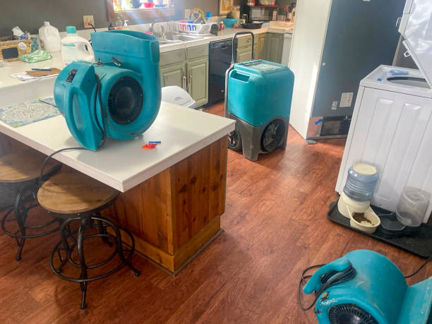 Best Water damage contractors near me  in Rosharon, TX