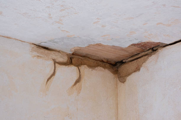 Best 24-hour water damage restoration  in Rosharon, TX