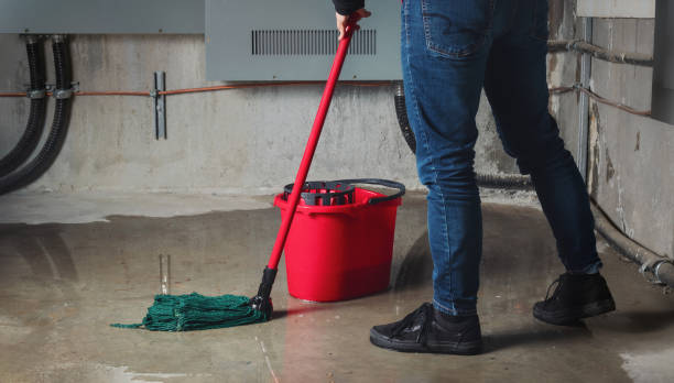 Best Water damage cleanup near me  in Rosharon, TX