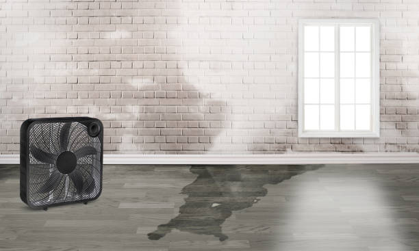 Water damage restoration insurance claims in Rosharon, TX