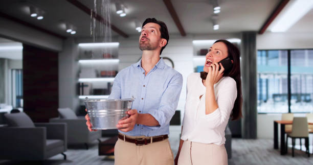 Best Ceiling water damage repair  in Rosharon, TX